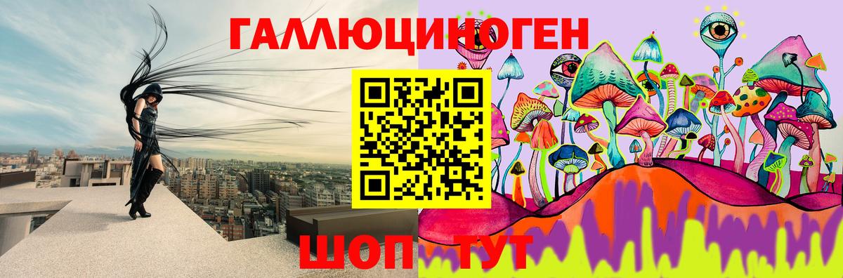 Псилоцибиновые грибы Cubensis Кисловодск
