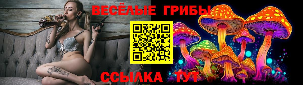Кисловодск  Галлюциногенные грибы Cubensis  Вход с VPN  Галлюциногенные грибы мицелий 